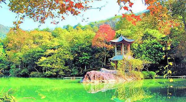 野趣沟