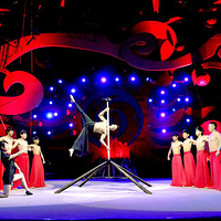 吴桥杂技大世界