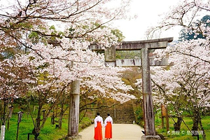 宝满宫 灶门神社