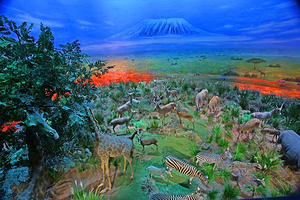 横店圆明新园-皇家动物乐园