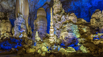织金洞国家重点风景名胜区-银雨树
