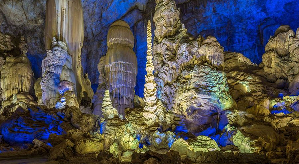 织金洞国家重点风景名胜区-银雨树