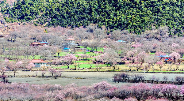 嘎朗湖景区