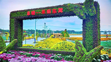 采菊东篱·星空露营