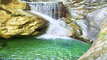 牛背梁国家森林公园