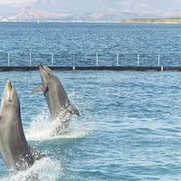 苏比克海洋公园