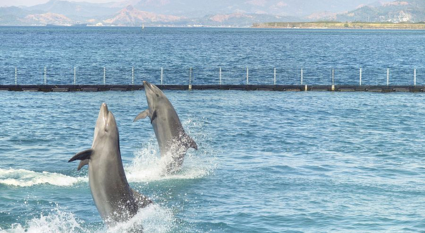 苏比克海洋公园