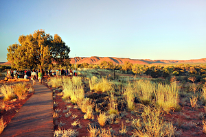 瓦塔卡国家公园