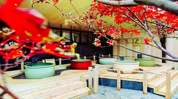 大江户温泉物语(大华老镇嘉年华店)