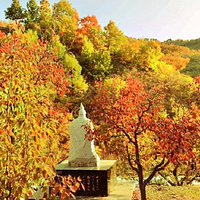 凤凰岭