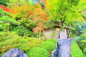 华严寺（铃虫寺）