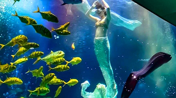 海童湾萌宠乐园(广场1号商业中心店)