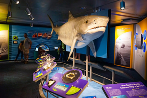 新英格兰水族馆