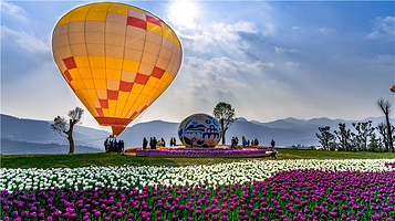 凉都花海温泉旅游度假区