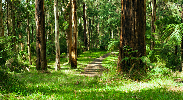 丹顿农山脉国家公园