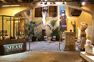 欧洲现代艺术博物馆