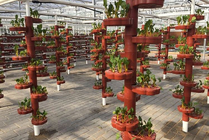 寻乌蔬菜主题文化园