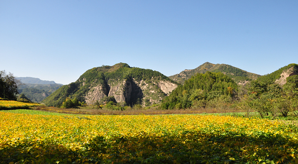 九龙山景区