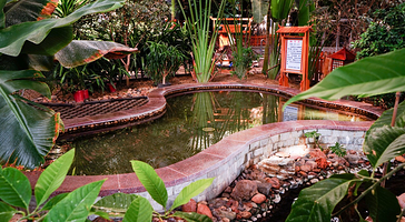 神农温泉度假村