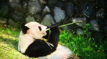 茱萸湾风景区-扬州动物园