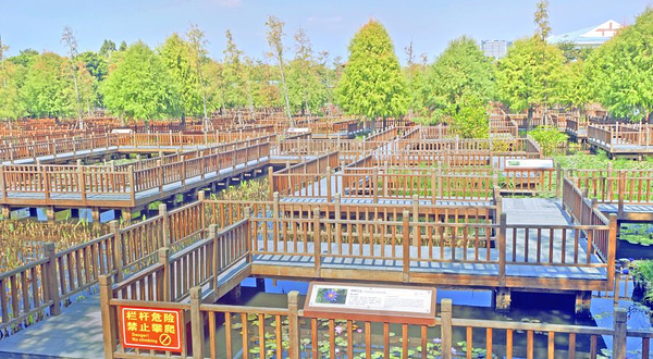 五缘湾湿地公园