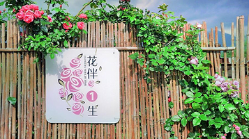 花伴一生玫瑰庄园