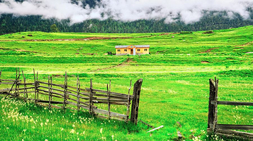 鲁朗花海牧场景区