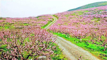 下廊村桃花溪风景区