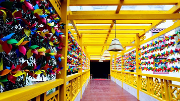 华美达康巴服饰锅庄晚会(华美达安可酒店稻城亚丁店)