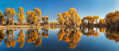 额济纳胡杨林旅游区