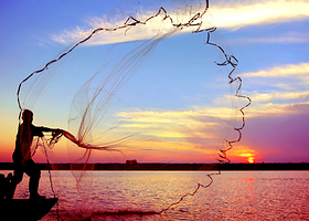 鄱阳湖国家湿地公园