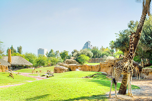 瓦伦西亚动物园