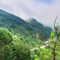 陇南香山自然保护区