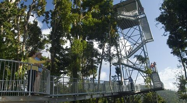 玛姆雨林天空步道