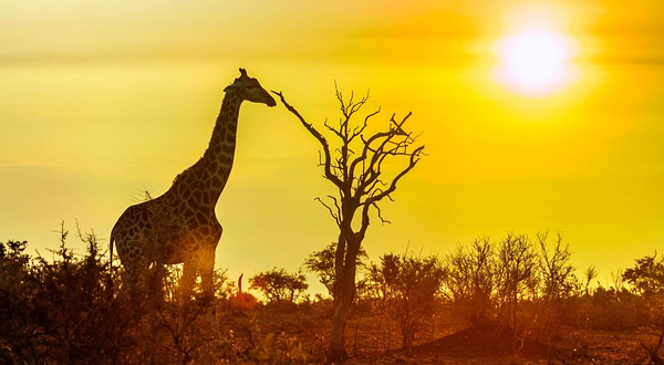 克留格尔国家公园