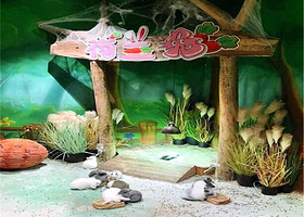 马塔塔动物王国