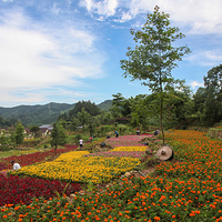 丫山风景区