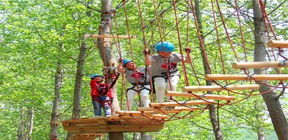 树袋熊树上探险主题乐园