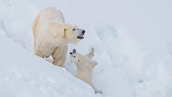 拉努阿野生动物园