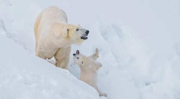 拉努阿野生动物园