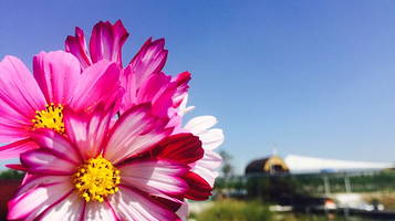 富祥温泉生态农庄