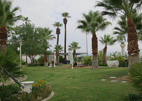 Palm Springs Dog Park