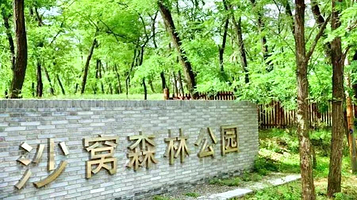 沙窝森林公园