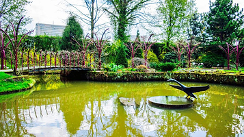 Arboretum Trompenburg