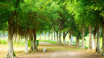 天湖生态旅游度假