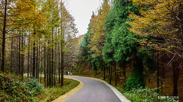 山王坪喀斯特国家生态公园
