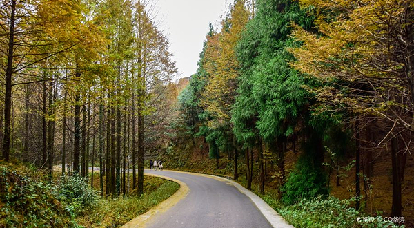 山王坪喀斯特国家生态公园