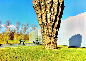 北卡罗来纳艺术博物馆