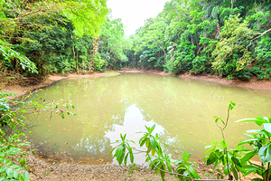 乌达瓦塔凯勒保护区