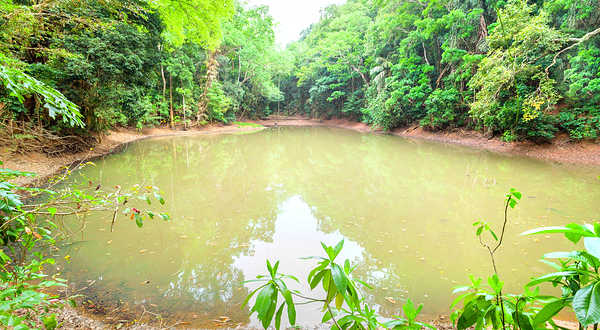 乌达瓦塔凯勒保护区